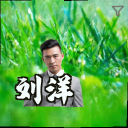 刘洋